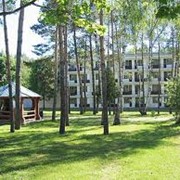 Санатории, детский отдых, круизы фото