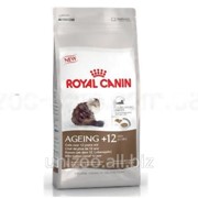 Сухой корм для кошек Royal Canin AGEING +12 2 кг фото