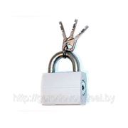 Замок навесной ВС-2 (модель Ш035) фото