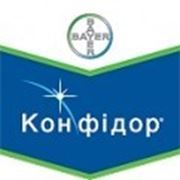 Инсектицид Конфидор фото