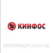 КИНФОС фото