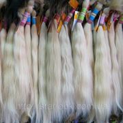 Срез натуральных славянских волос блонд фотография
