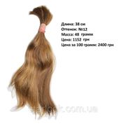 Срез натуральных неокрашенных славянских (украинских) волос 38 см №12-19 фото