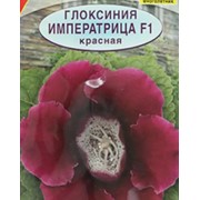 Семена цветов глоксиния императрица красная 10 пачек фотография