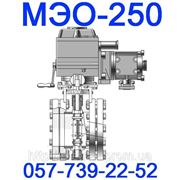 МЭО-250 Механизмы исполнительные электрические фото