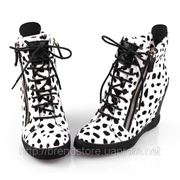 Кроссовки ASH Sneakers черно-белая замша, леопард 2012 фотография