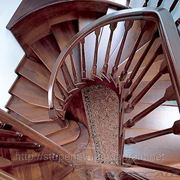 Лестница деревянная спиральная. Киев фото