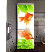 Наклейки на холодильник. Яркие краски нового интерьера фото