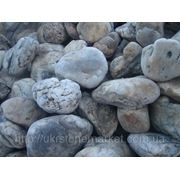 Камень речной “Тиса“ белый фото