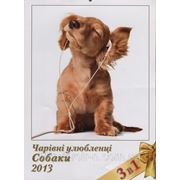 Календар «Собаки» фото