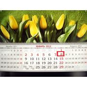 Календарь квартальный 2013 "Тюльпаны"