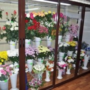 Алюминиевые холодильные камеры для цветочных магазинов