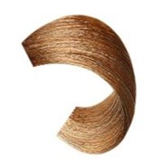 L'oreal Professionnel, Краска для волос Dia Richesse 8.34 фотография