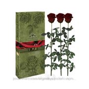 Вечная роза 3 шт “Багровый гранат“ (7 карат, 39-49 см стебель, в подарочной коробке) фото