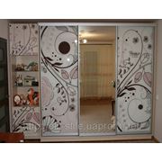 Авторский ШКАФ-КУПЕ с рисунком на фасадах зеркала стекла мдф с рисунками фотография