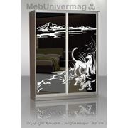 Шкафы купе Славутич — фасад крашеное стекло с рисунком фотография