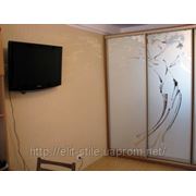 Шкаф-купе , кухня с рисунком на фасаде зеркала стекла мдф с рисунками фотография