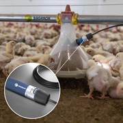 Датчики DOL для линий кормления бройлеров фото