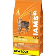 IAMS Cats Adult rich in Chicken 1,5 кг фото