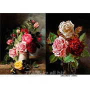 Рисовая карта 100641 фото