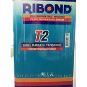 Клей наирит RIBOND T2 17л