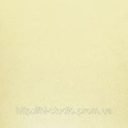 Особо прочный грес UT 300 300х300х12 (бежевый моноколор/single-color beige) фото