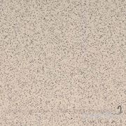 Керамогранит RAKO Плитка RAKO TAL35073 - Taurus Granit напольная 73 SL Nevada 295 фотография