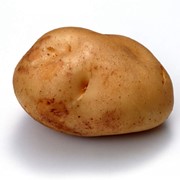 Картофель сорта Бела Роса