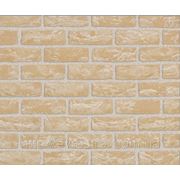 Клинкерный кирпич Nelissen KIRSCHBLЬTE / CHERRYBLOSSOM фото