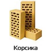 Кирпич клинкерный облицовочный ЕВРОТОН желтый, брусок, таблетка, купить в Одессе фото