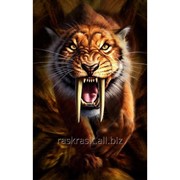 Стразы Саблезубый тигр. Частичная выкладка, 54x80, Leisuretime фото