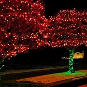 Гирлянда для деревьев "Луч"-3.Светодиодная подсветка деревьев.Новогоднее украшение.