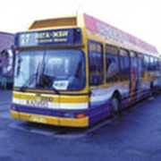 Реклама на бортах автобусов, трамваев, троллейбусов фото