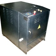 Парогенератор ТЭНовый 30 кг/час ПЭТ-30 фотография
