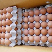 Fresh Brown Chicken Eggs фото