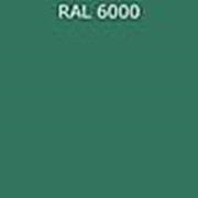 Цвет RAL 6000 пр-во ТУрция фотография