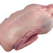 Мясо утки замороженное фотография
