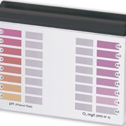 Тестер РТ200 для измерения значений pH и активного кислорода (02) (вкл. 60 таблеток)