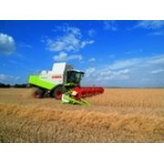 Комбайн Claas Lexion 580-570 фото