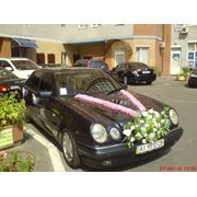 Прокат аренда свадебных автомобилей Киев фотография