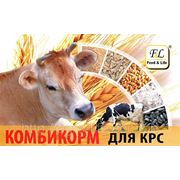 Комбикорм для дойных коров, КК 60-1 фото