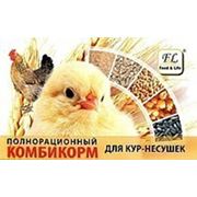Комбикорма для курчат, кур-несушек Фидлайф фото