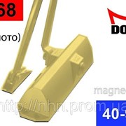 Доводчик дверной Dorma TS68 золото (латунь) TS-68 фотография