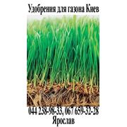 Удобрение для газона Нитроаммофоска, ам. селитра, карбамид, агролайф. Купить в Киеве фотография
