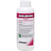 Микроудобрение жидкое Молибион (Molibion 8% Valagro) 1 л фото
