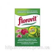 Florovit растворимый для комнатных и балконных цветов (20г.) фото