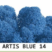 Стабилизированный мох. Цвет Artis Blue 14 фото