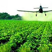Пестициды адъювантные фото