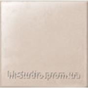 Плитка настенная Pastel G5 (shiny) 200х200 мм Tubadzin фотография