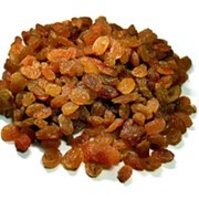 Изюм малаяр фото